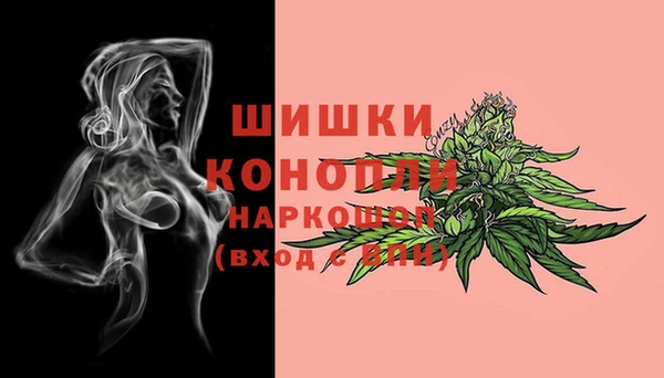 PSILOCYBIN Волосово