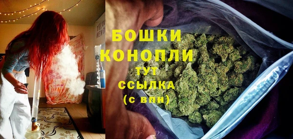 PSILOCYBIN Волосово